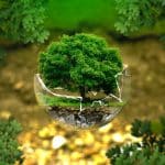 Sustainability