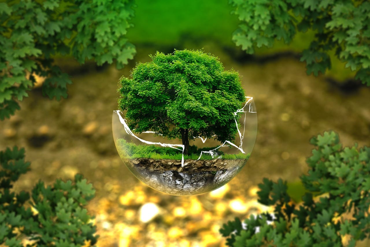 Sustainability